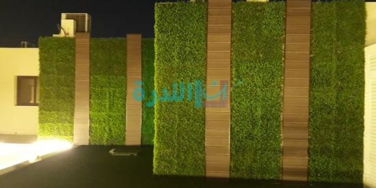 عشب جداري
